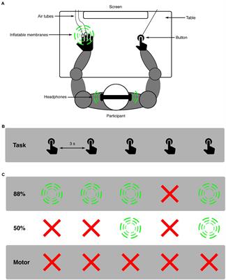 Salient omissions—pupil dilation in response to unexpected omissions of sound and touch